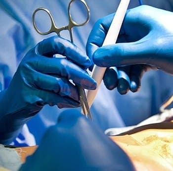 dénutrition Correlation : 70% des résidents en EHPAD touchés 8 medical 2 1